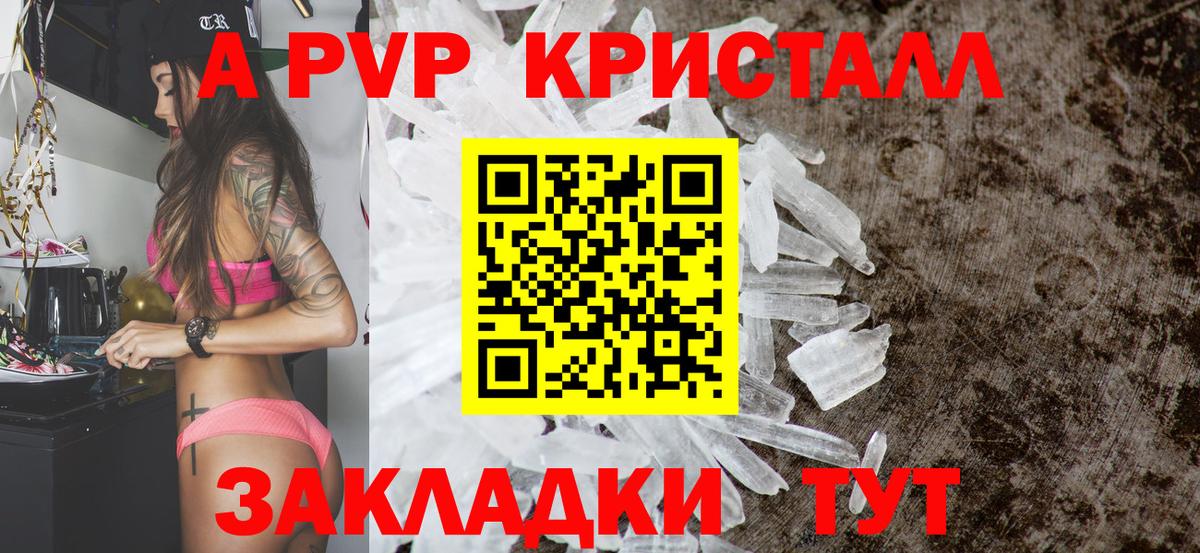 Alfa_PVP СК КРИС Махачкала