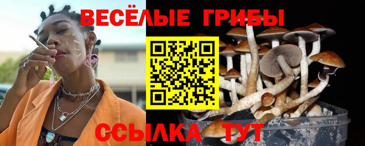 Махачкала  Галлюциногенные грибы Magic Shrooms  Вход с VPN 