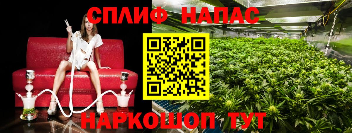Махачкала  Каннабис семена  Марихуана White Widow  Шишки марихуана семена  Канабис Bruce Banner  Вход с VPN 